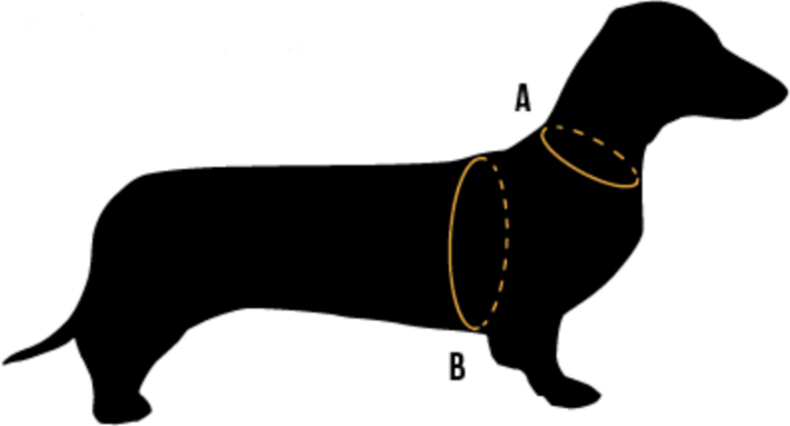 Silhuet af gravhund med cirkler omkring hals og bryst for at vise, hvordan hunden skal måles 